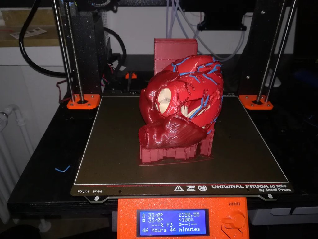 Анатомическое сердце (многоматериальная печать)