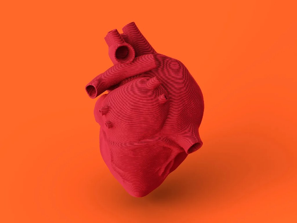 Анатомическое сердце