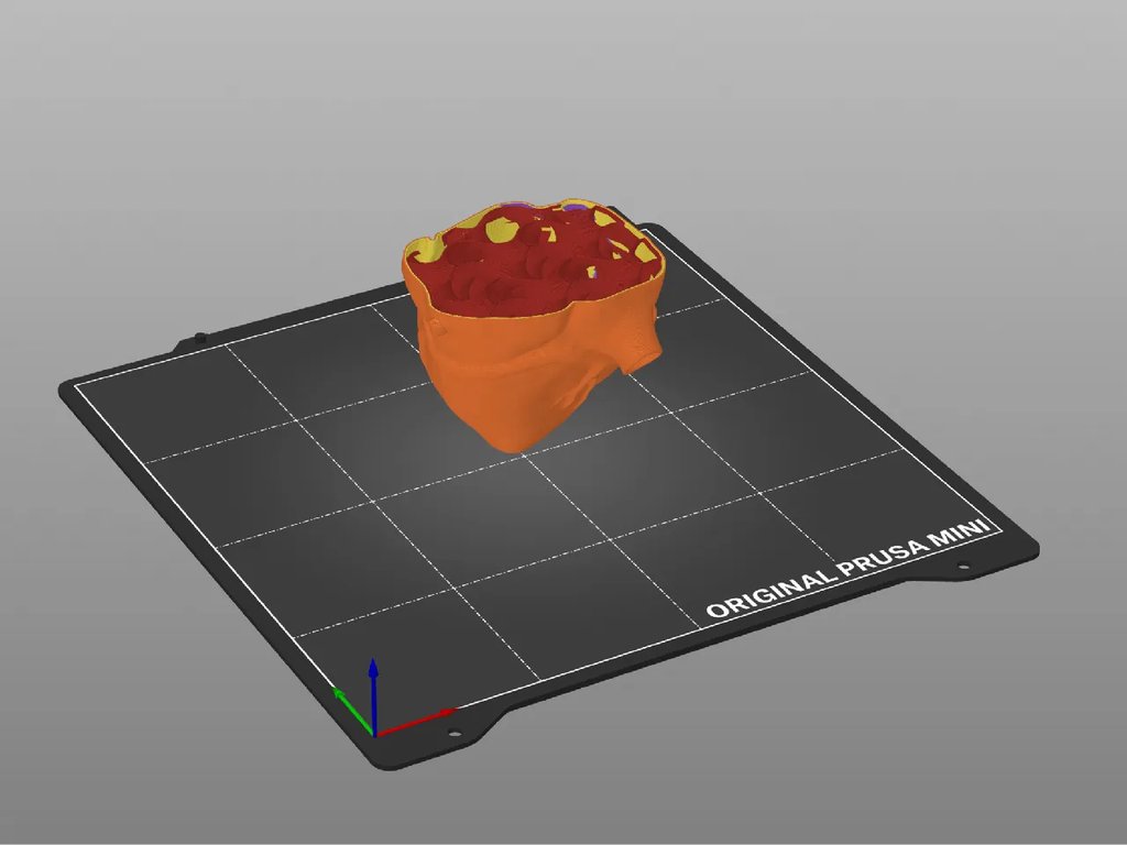 Анатомическое сердце