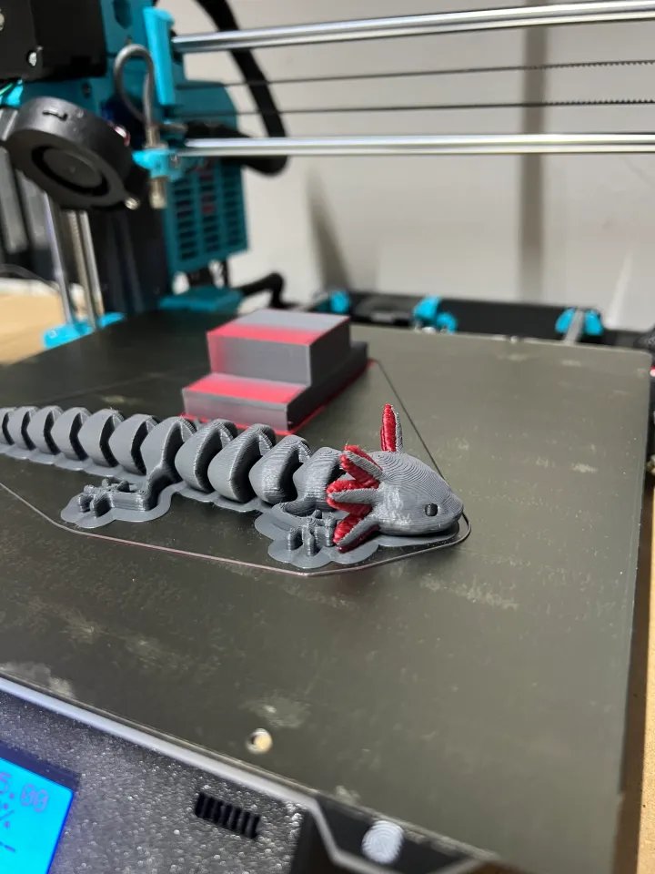 Сочленённый аксолотль - Многоцветный ремикс