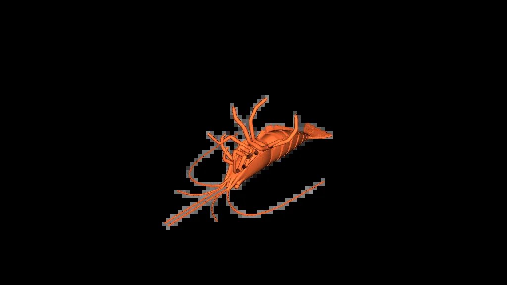 Сочлененная креветка