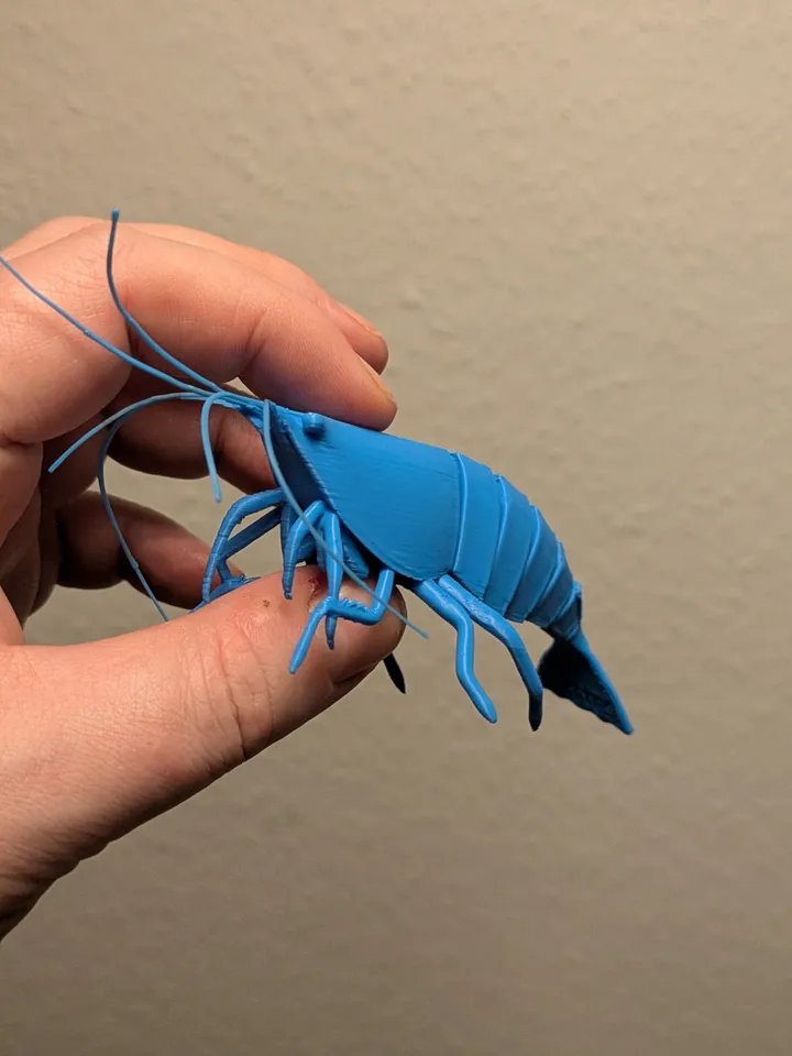 Сочлененная креветка