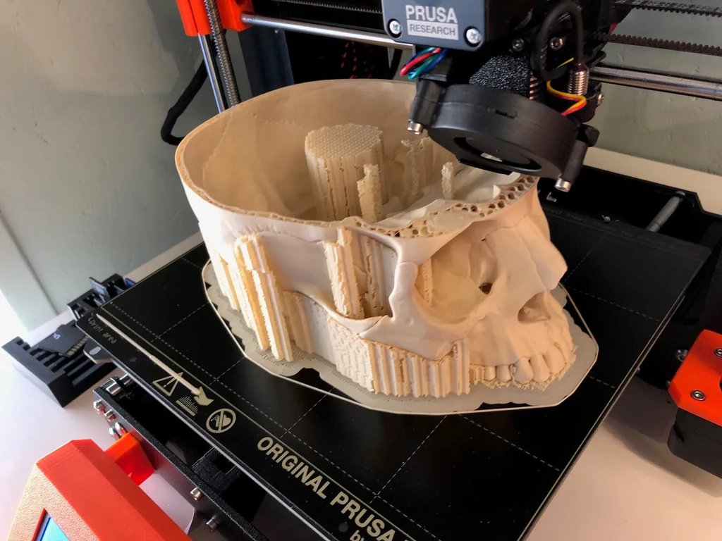 Человеческий череп, анатомически точный