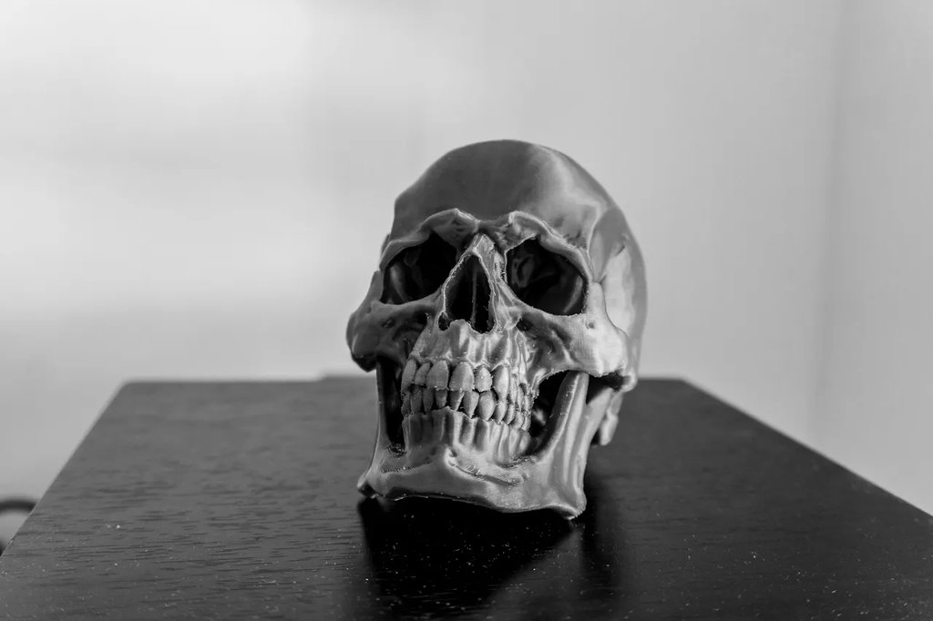 Череп Версия 1.1