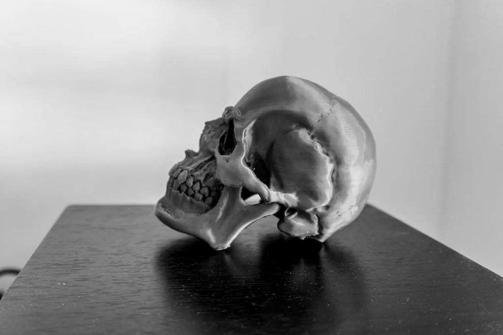 Череп Версия 1.1