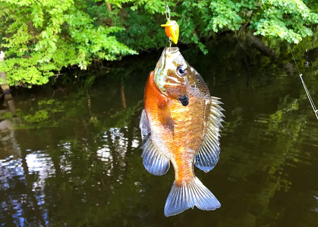 Ультралегкая воблер-крэнкбейт V2
