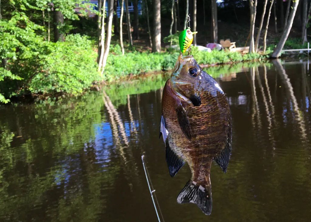 Ультралегкая воблер-крэнкбейт V2